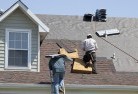 Fernmountskylights-2.jpg; ?>